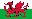 a small Welsh flag